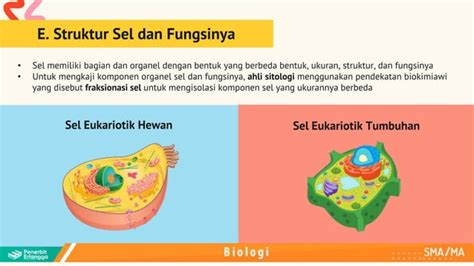 PPT Bab 1 Biologi Kelas XI Kur Merdeka Pptx