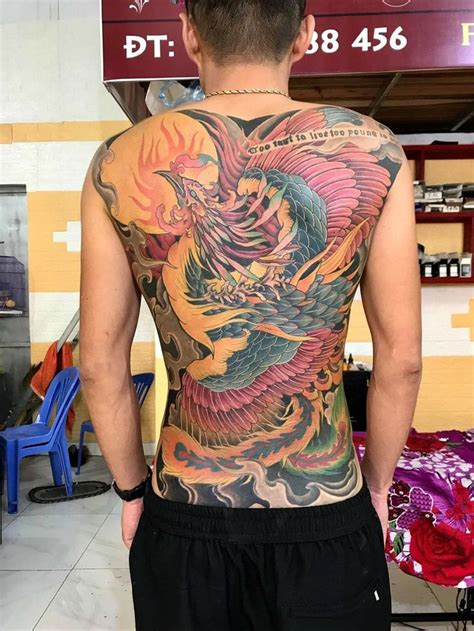 Pin by Thiệu Tatoo on Phượng Phoenix tattoo Traditional japanese