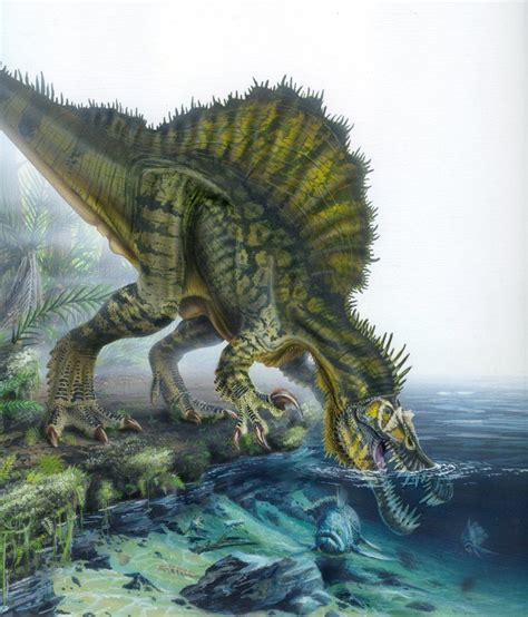 Spinosaurus | Spinosaurus, Prehistoric animals, Dinosaur