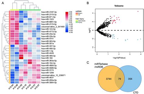 The Different Exosomal Mirna Expression Profiles And Screening Of