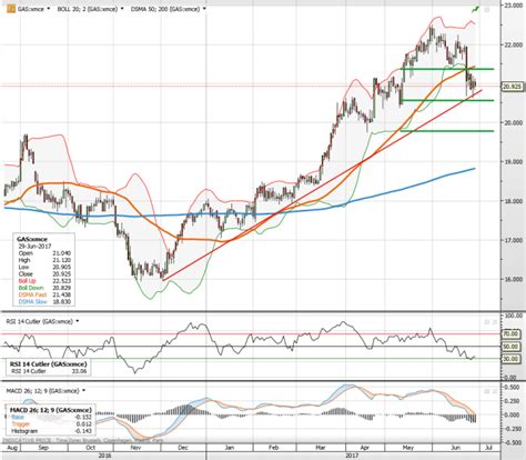 gas natural analisis  chart