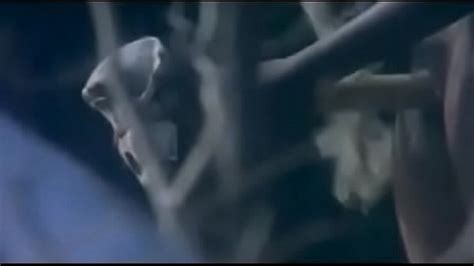 Vidéos de Sexe Nude tribal men Xxx Video Mr Porno