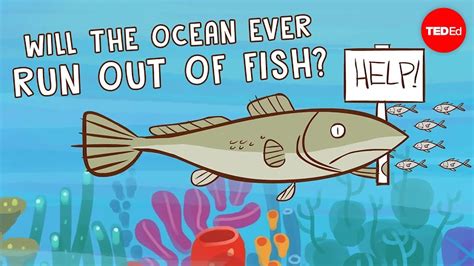 How Overfishing Is Destroying The Ocean Best Answer