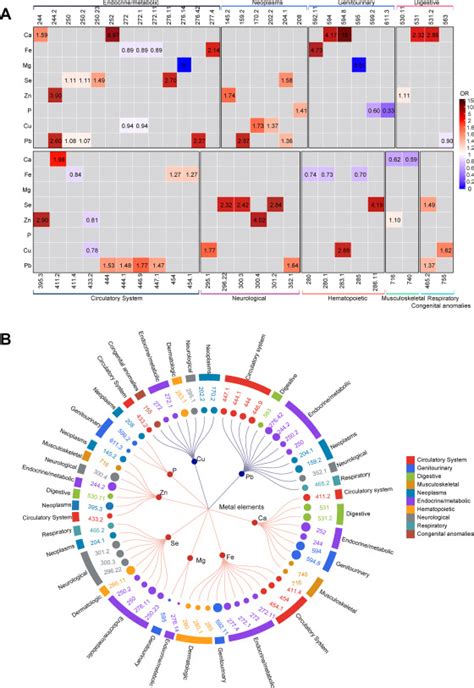 Causal Relationships Between Blood Calcium Iron Magnesium Zinc