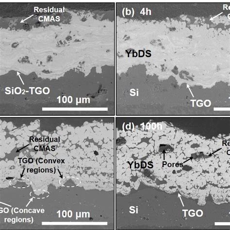 Cross Sectional Morphologies Of Al Modified YbDS Coating At Different