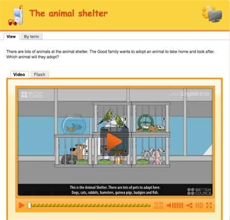 3rd & 4th Integrated: Story: The Animal Shelter