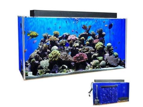 100 Gallon Fish Tanks Reviewed Best 4 Fishkeeping World