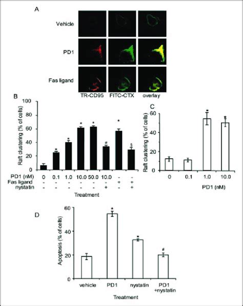 Pd Promotes Formation Of Lipid Raft Clusters And Aggregation Of Fas