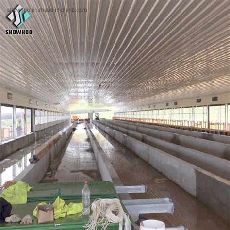 Prefabricated Building Automated Steel Structure Chicken Poultry House