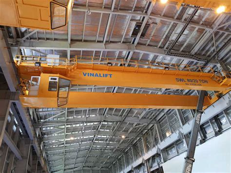 Go To Taobao For Shopping Vinalift Power Plant Gantry Crane Celebrates