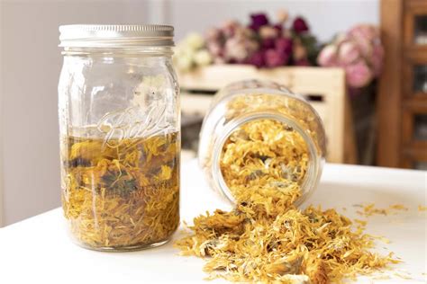 How To Make Herb Infused Oils Herbal Academy