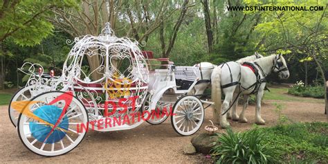 Luxury Cinderella Horse Carriage Dst International