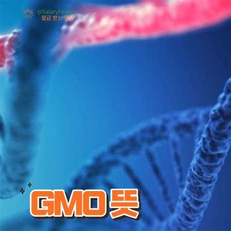 Gmo유전자변형식품 Gmo 뜻 Gmo 식품 장단점 1가지씩 월급 받는 농부