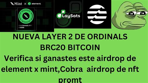 Verifica Si Ganastes Este Airdrop En Element Y Layer 2 De Ordinals