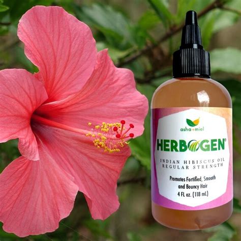 Super Concentrated Ayurvedic Hibiscus Oil Indian Hair Oil Etsy