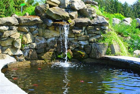 Bassin De Jardin Avec Cascade Installation Prix Et Conseils