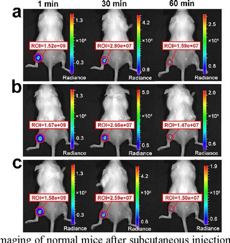 Figure 1 From Autofluorescence Free Targeted Tumor Imaging Based On