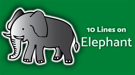 Elephant 10 Lines On Elephant TeachMeYT YouTube