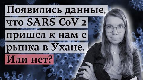 Появились данные, что SARS-CoV-2 пришел к нам с рынка в Ухане. Или нет ...