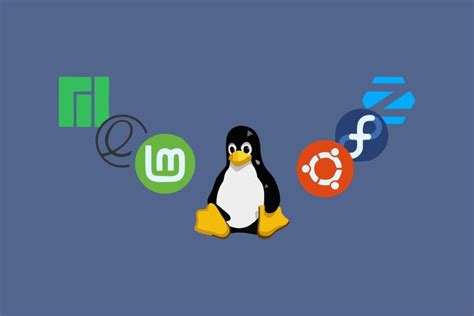 As Melhores Distribuições Linux para 2024 Uma Análise Comparativa