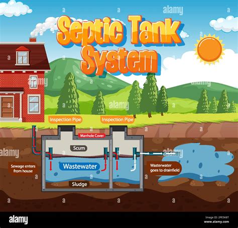 Ilustraci N Del Diagrama Del Sistema Del Tanque S Ptico Imagen Vector