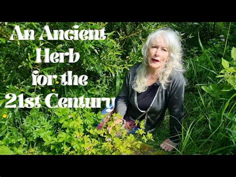 Danus Irish Herb Garden