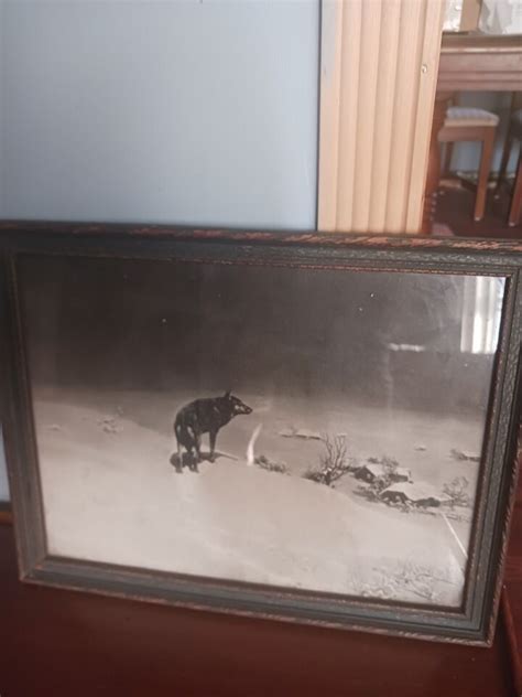 Antique Americana Victor Kowalski S Framed Print Lone Wolf Ebay