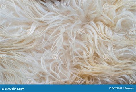 White Fluffy Texture