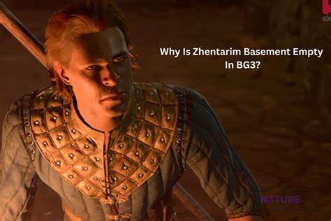 Why Is Zhentarim Basement Empty In BG3? - The Nature Hero