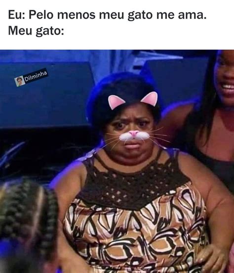 Eu Pelo Menos Meu Gato Me Ama Meu Gato Memes