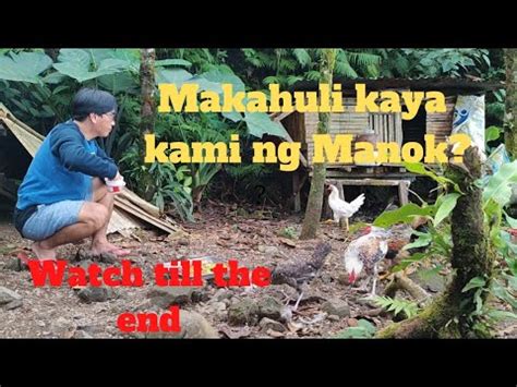 Makahuli Kaya Kami Ng Manok Watch Till The End YouTube