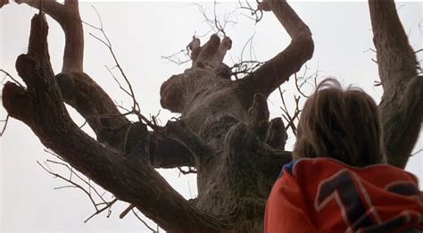 The Scariest Tree In Cinema History Poltergeist 1982 80s