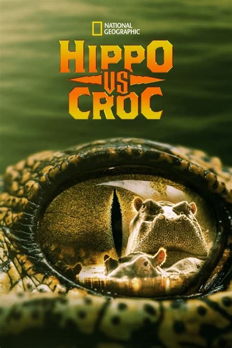 Hippo Vs Croc 2014 — The Movie Database Tmdb