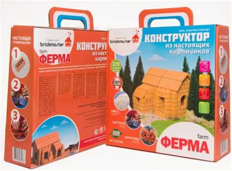 Домик из кирпичей для детей – Конструктор из кирпичиков Brickmaster ...