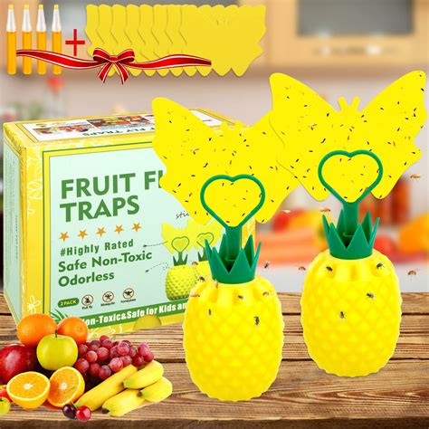 Buy Heyouou Fruit Fly Traps Gnat Trap With 4 Bait For House Indoor And Outdoor Fruit Fly Traps