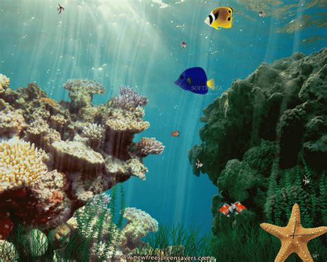 🔥 [48+] Animated Underwater Wallpapers | WallpaperSafari