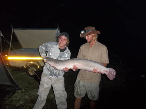 How To Catch Big Barbel In South Africa Targeting Sharptooth Catfish