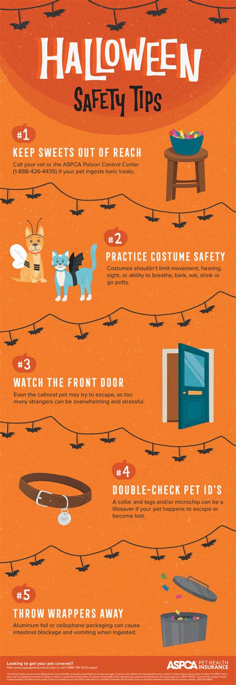 Halloween Pet Safety Tips | ASPCA® Pet Health Insurance