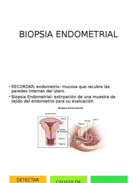 Biopsia Endometrial Pdf