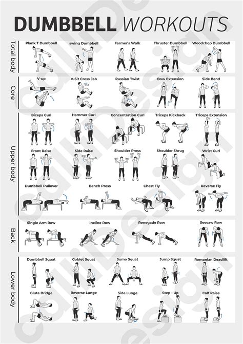 38 Types Of Dumbbell Exercise Illustrations And 1 Type Of Poster File