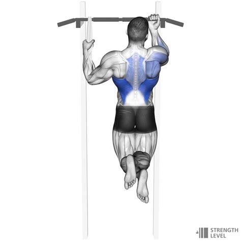 One Arm Pull Ups Standards For Men And Women Lb Strength Level