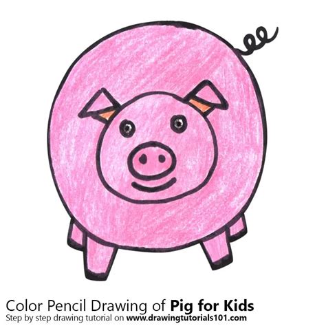 How To Draw A Pig Face Realistic