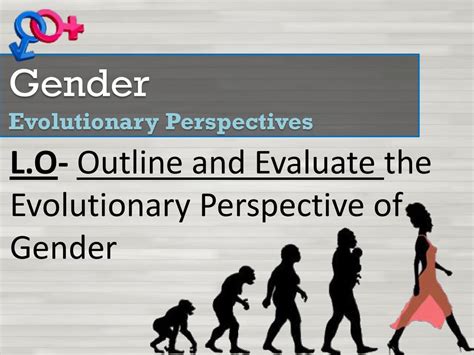 Gender Evolutionary Perspectives Ppt Download