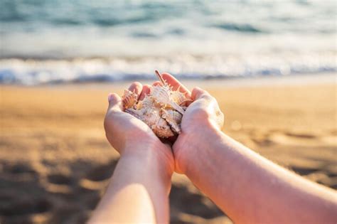 Manos De Una Mujer Sosteniendo Conchas Marinas En Una Playa Al