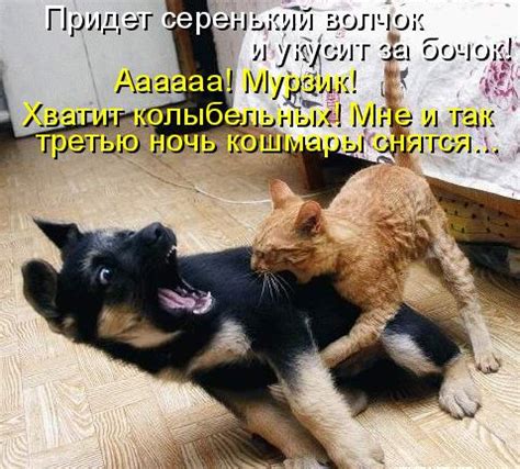 Картинки с надписью - Укусит за бочек.
