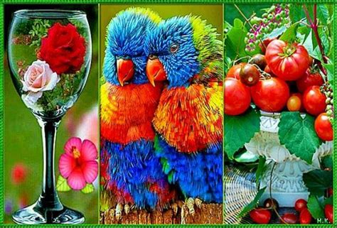 Solve Коллаж. jigsaw puzzle online with 70 pieces