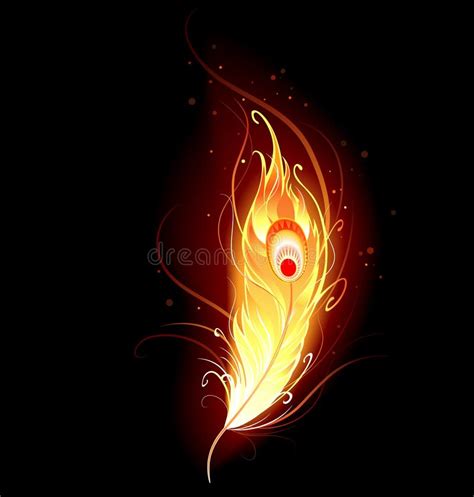 Phoenix feather stock vector. Illustration of creative - 21680004