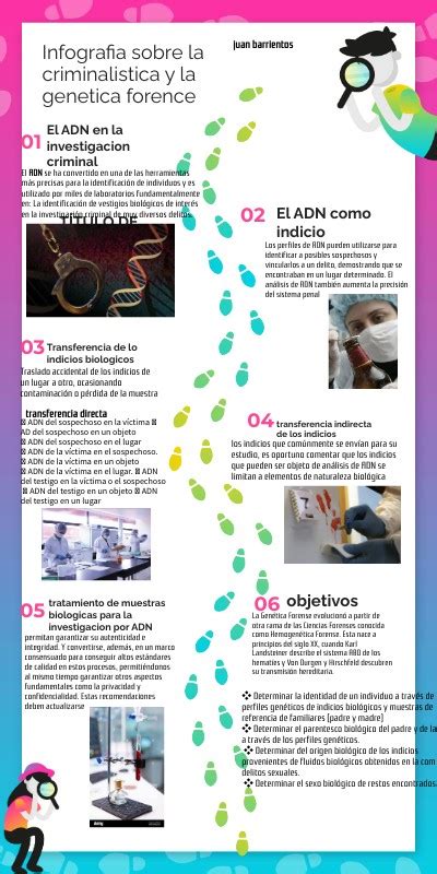 Infografia Sobre La Criminalistica