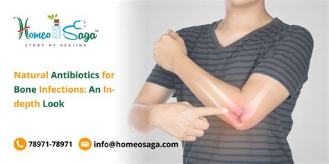 Natural Antibiotics for Bone Infections: An In-depth Look