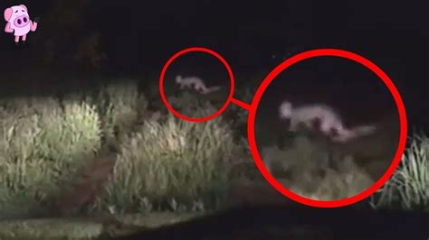 Creepiest Things Caught On Dashcam Ghost Caught On Camera Real